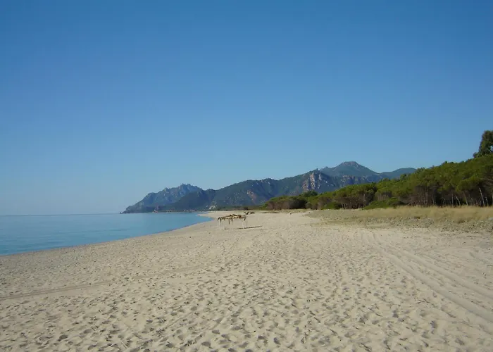 Casa Arcobaleno Lägenhet *